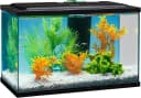 5.5 Gallon Glass Aquarium — Rectangular Fish Tank