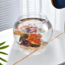 （Large Size） 3 Gallon Plastic Fish Bowl — Aquarium Fish Tank 11.5 Liters
