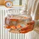 （Large Size） 3 Gallon Plastic Fish Bowl — Aquarium Fish Tank 11.5 Liters
