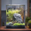 2 Gallon Glass Fish Tank — Easy to Maintain Small Aquarium for Betta/Snails/Shrimp and Aquatic Planting.