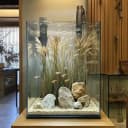 2 Gallon Glass Fish Tank — Easy to Maintain Small Aquarium for Betta/Snails/Shrimp and Aquatic Planting.