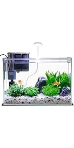 2 Gallon Glass Fish Tank — Easy to Maintain Small Aquarium for Betta/Snails/Shrimp and Aquatic Planting. — product details