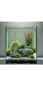2 Gallon Glass Fish Tank — Easy to Maintain Small Aquarium for Betta/Snails/Shrimp and Aquatic Planting. — product details