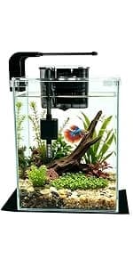 2 Gallon Glass Fish Tank — Easy to Maintain Small Aquarium for Betta/Snails/Shrimp and Aquatic Planting. — product details
