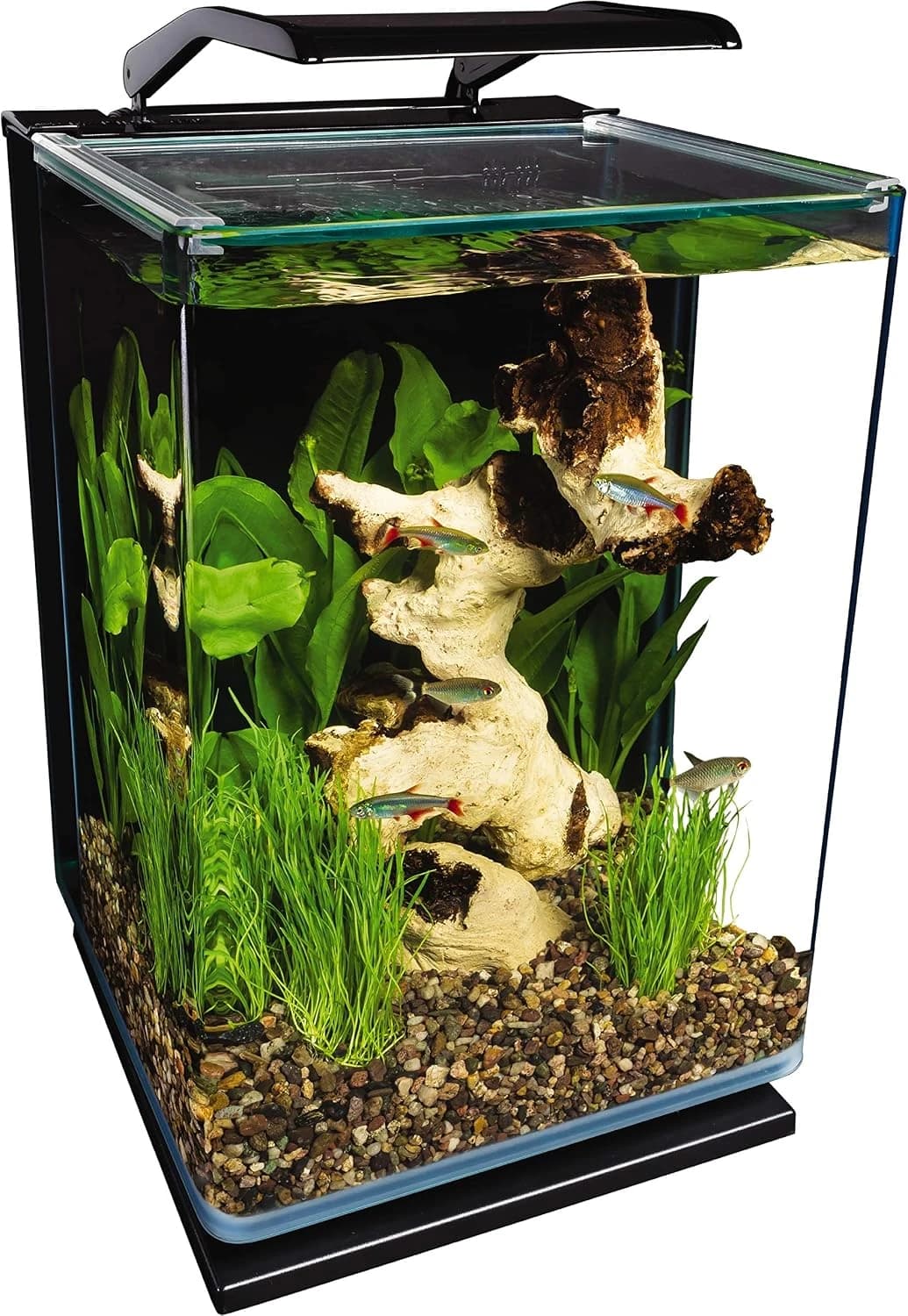 Portrait — 5 Gallon Fish Tank Kit