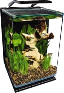 Portrait — 5 Gallon Fish Tank Kit