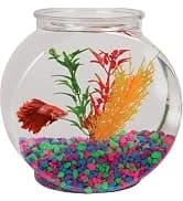 Plastic 6-Gallon AquaView 360 Aquarium Kit for Tropical Fish — collection imagery