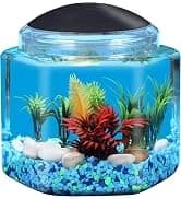 Plastic 6-Gallon AquaView 360 Aquarium Kit for Tropical Fish — collection imagery