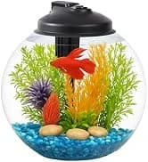 Plastic 6-Gallon AquaView 360 Aquarium Kit for Tropical Fish — collection imagery