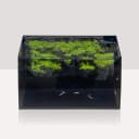 Horizon 8 Gallon LED Glass Aquarium Kit for Starters with 7W Power Filter Pump