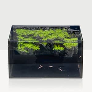 Horizon 8 Gallon LED Glass Aquarium Kit for Starters with 7W Power Filter Pump — collection imagery