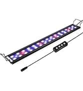 Horizon 8 Gallon LED Glass Aquarium Kit for Starters with 7W Power Filter Pump — collection imagery