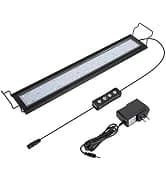 Horizon 8 Gallon LED Glass Aquarium Kit for Starters with 7W Power Filter Pump — collection imagery
