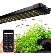 Horizon 8 Gallon LED Glass Aquarium Kit for Starters with 7W Power Filter Pump — collection imagery