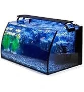 Horizon 8 Gallon LED Glass Aquarium Kit for Starters with 7W Power Filter Pump — collection imagery