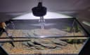 Magnetic Aquarium Anti-Jumping Net Cover — Mesh to Protect Fish Jumping Out of Fish Tank