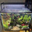 Magnetic Aquarium Anti-Jumping Net Cover — Mesh to Protect Fish Jumping Out of Fish Tank