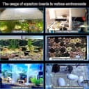 4 Aquarium lid Hood Fish Tank top Cover Terrarium lid Plastic Grid Panel Egg Crate Grate — 6 Aquarium Glass