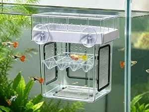 Aquarium Breeder Box for Fish Tank — 316 Stainless Mesh Fry Nursery — 3 Ways to Use It — and How Big It Actually Is