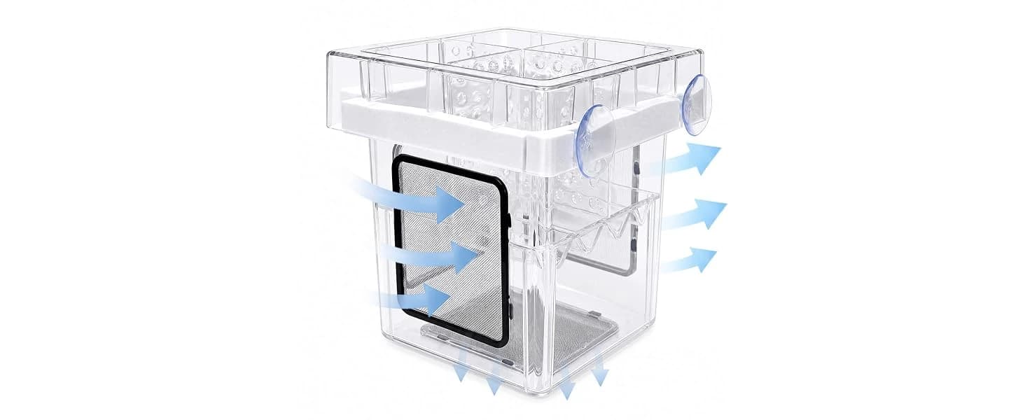Aquarium Breeder Box for Fish Tank — 316 Stainless Mesh Fry Nursery — How It Goes In the Tank