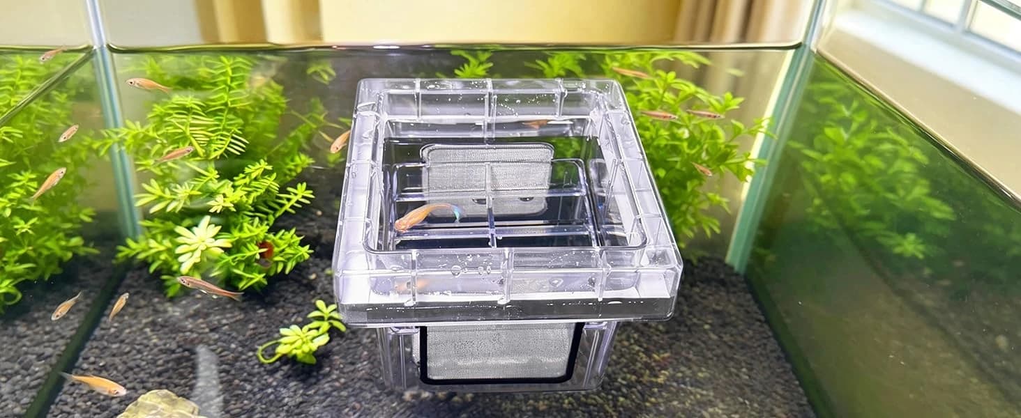 Aquarium Breeder Box for Fish Tank — 316 Stainless Mesh Fry Nursery — How It Goes In the Tank