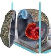 Aquarium Breeder Box for Fish Tank — 316 Stainless Mesh Fry Nursery — collection imagery