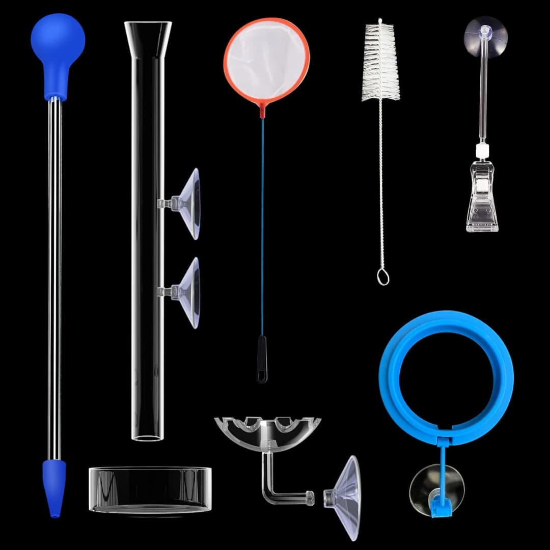 11.8 Inch Shrimp Feeding Tube with Shrimp Feeding Dish，Shrimp Feeding Bowl with Suction Cup，Feeding Tube