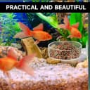 60mm Fish Tank Feeder Dish Aquarium Shrimp Feeder Dish with Suction Clear Fish Tank Feeding Bowl Round Clear