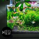 60mm Fish Tank Feeder Dish Aquarium Shrimp Feeder Dish with Suction Clear Fish Tank Feeding Bowl Round Clear