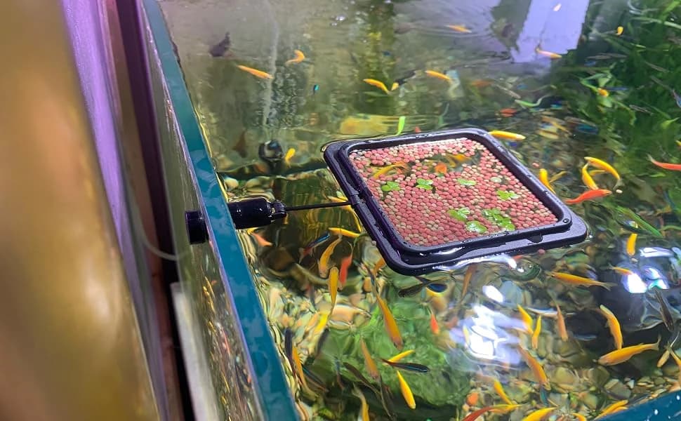 Magnetic Fish Feeding Ring — Floating Aquarium Feeder Ring for Fish Tank，Betta Feeding Ring for Goldfish — product details