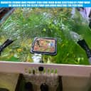 Magnetic Fish Feeding Ring — Floating Aquarium Feeder Ring for Fish Tank，Betta Feeding Ring for Goldfish
