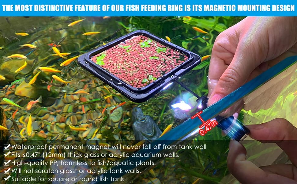 Magnetic Fish Feeding Ring — Floating Aquarium Feeder Ring for Fish Tank，Betta Feeding Ring for Goldfish — product details