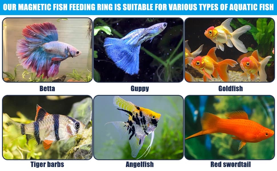 Magnetic Fish Feeding Ring — Floating Aquarium Feeder Ring for Fish Tank，Betta Feeding Ring for Goldfish — product details