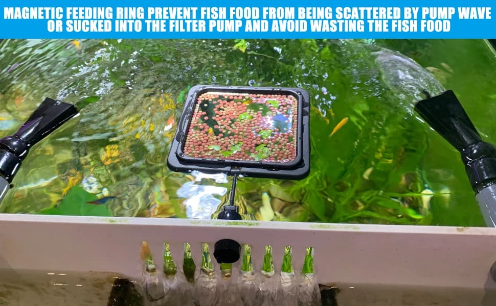 Magnetic Fish Feeding Ring — Floating Aquarium Feeder Ring for Fish Tank，Betta Feeding Ring for Goldfish — product details