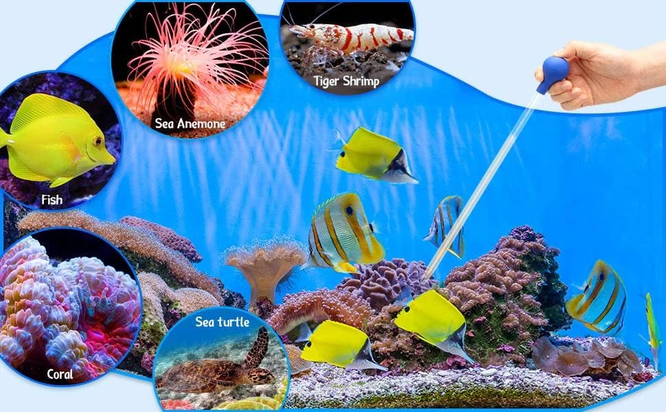 2 Sets Aquarium Coral Feeder Pipette — Long Syringe Feeding Tube Blue — product details