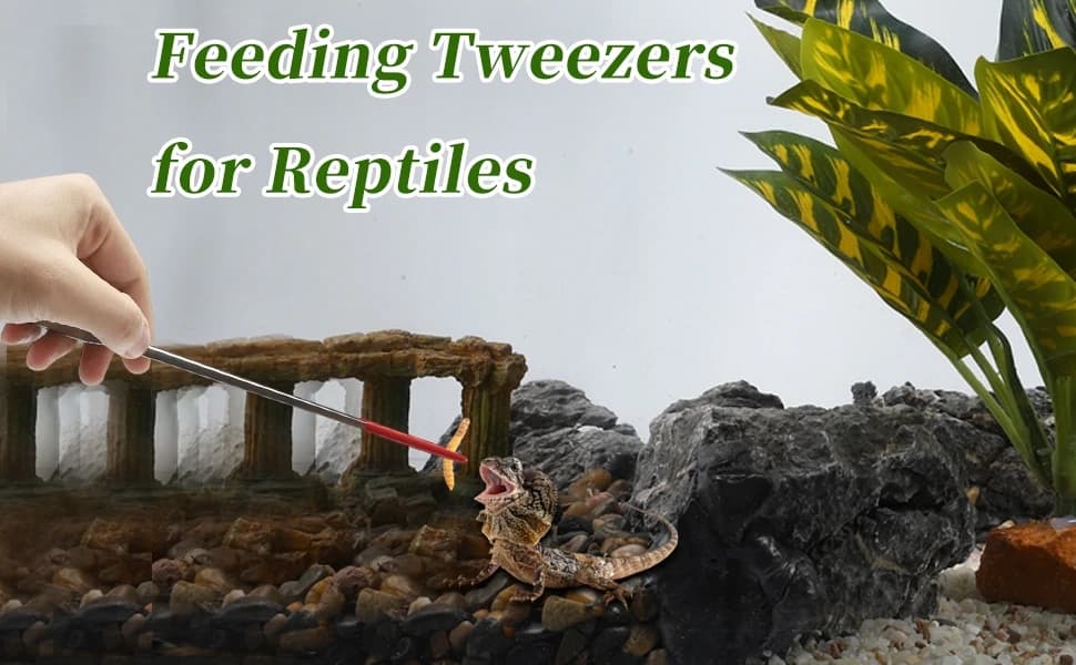 10.63" L Aquarium Straight Feeding Tweezer for Feeding with Red Rubber Tip — product details