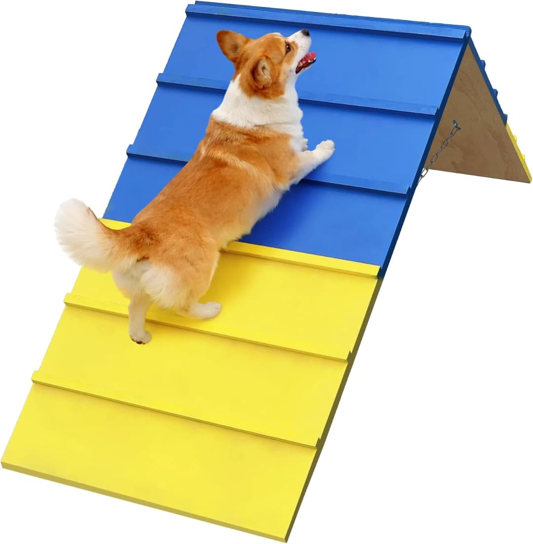 Dogs Agility Course Backyard Set