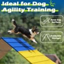 Dogs Agility Course Backyard Set