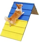 Dogs Agility Course Backyard Set — collection imagery