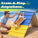 Dogs Agility Course Backyard Set