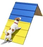 Dogs Agility Course Backyard Set — collection imagery