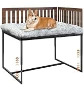 Dogs Agility Course Backyard Set — collection imagery