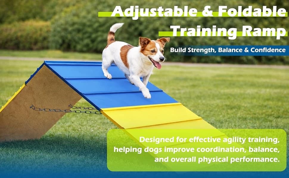 Dogs Agility Course Backyard Set — product details