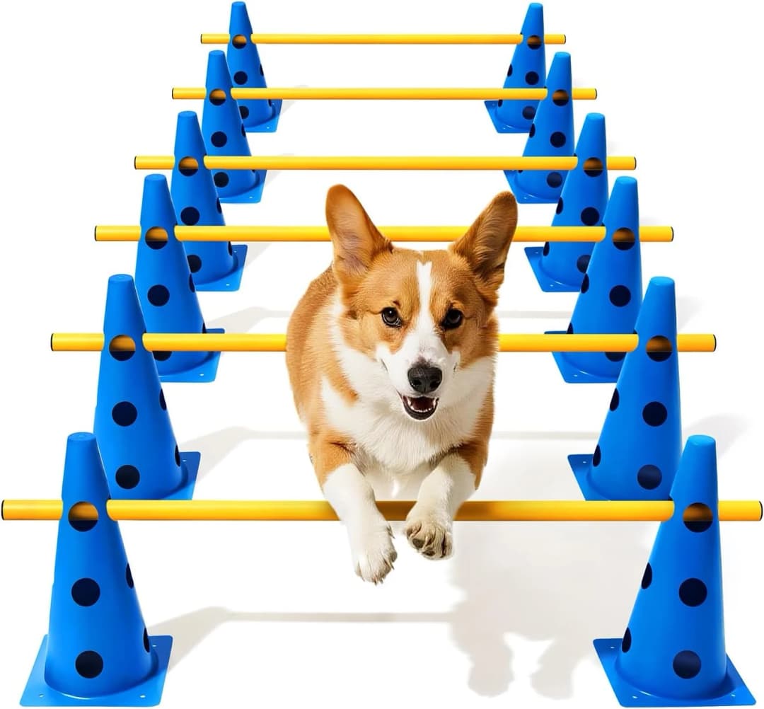 Dog Agility Course Backyard Set