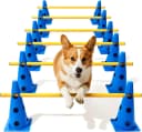 Dog Agility Course Backyard Set