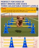 Dog Agility Course Backyard Set