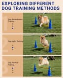 Dog Agility Course Backyard Set