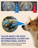 Dog Agility Course Backyard Set