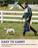 Dog Agility Course Backyard Set