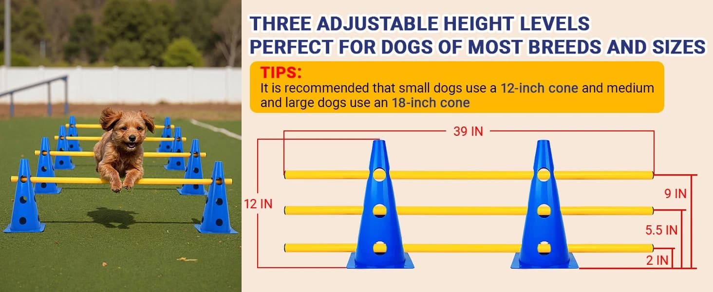 Dog Agility Course Backyard Set — product details